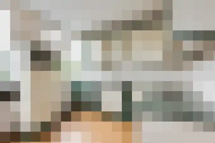 Eendendreef 14 Bleiswijk thumbnail 23