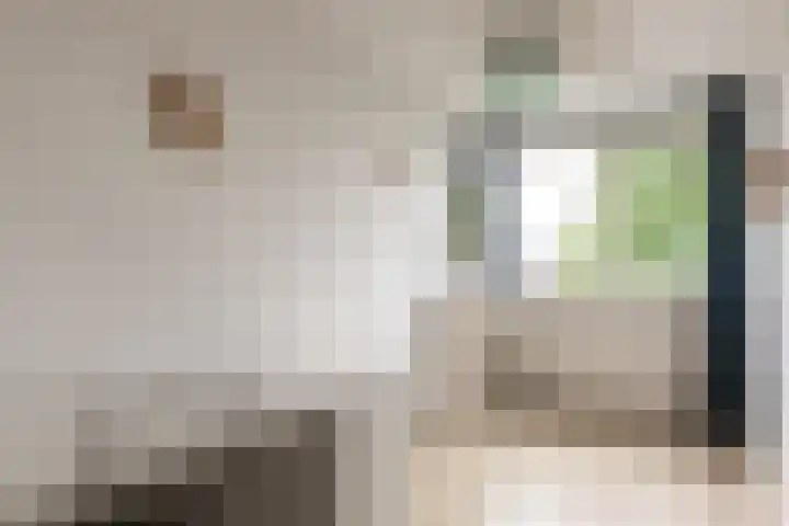 Eendendreef 14 Bleiswijk thumbnail 31