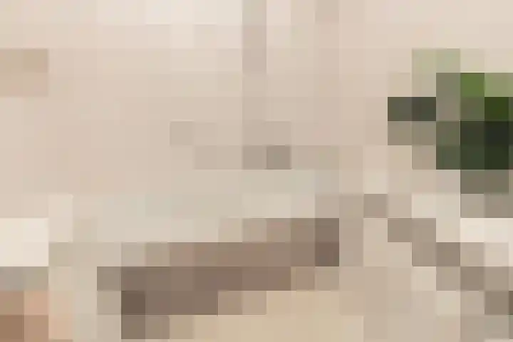Eendendreef 14 Bleiswijk thumbnail 34