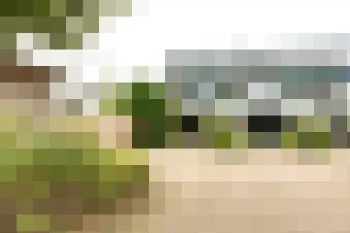 Eendendreef 14 Bleiswijk thumbnail 5