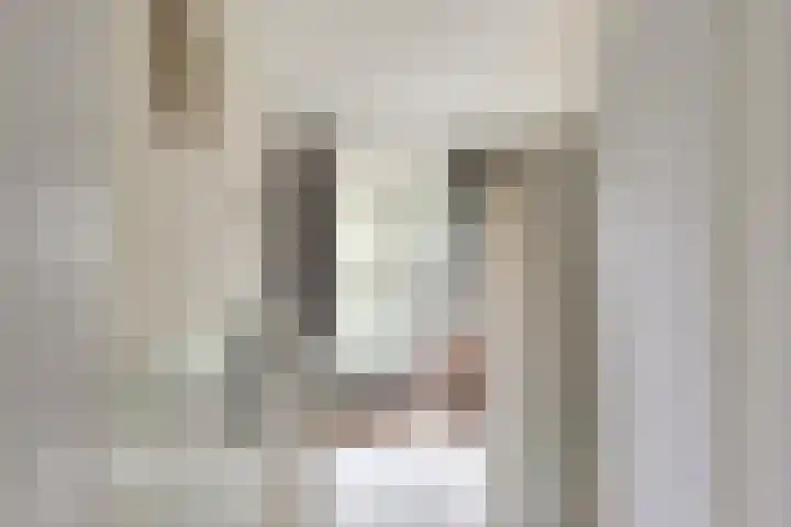 Eendendreef 14 Bleiswijk thumbnail 8