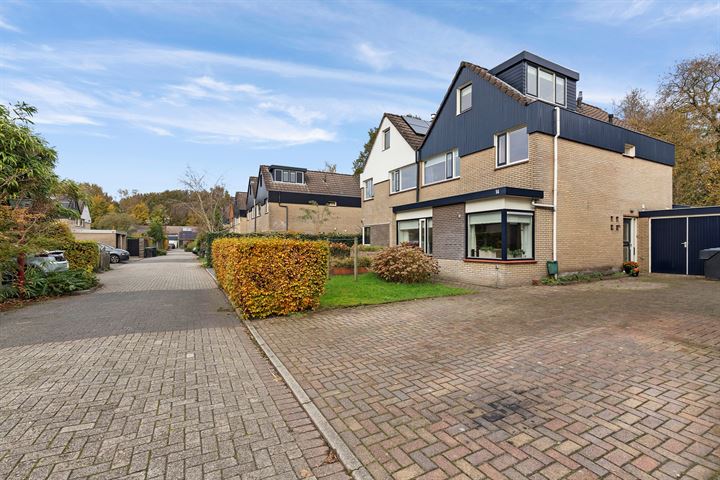 Eendenkooi 14 in Heerenveen foto