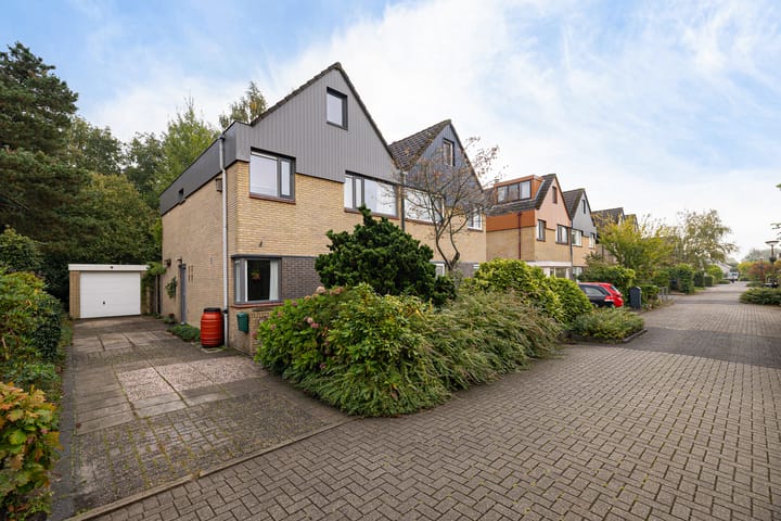 Eendenkooi 28 in Heerenveen foto