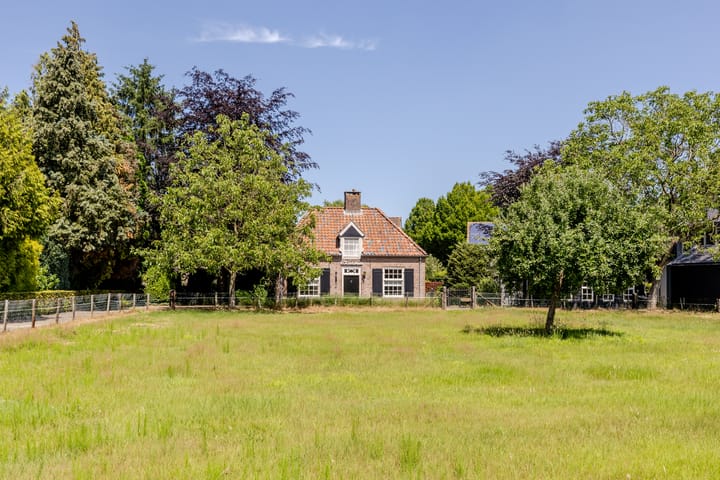 Eendenpoel 2 in Oirschot foto