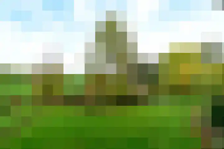 Eendenveld 35 Emmen thumbnail 23