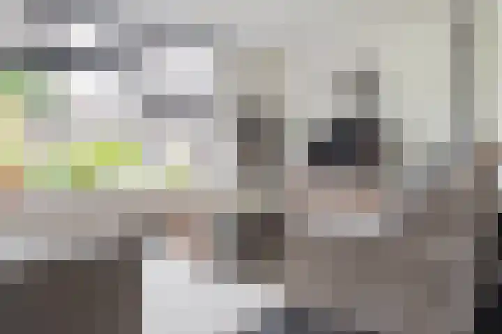 Eendenveld 90 Emmen thumbnail 12