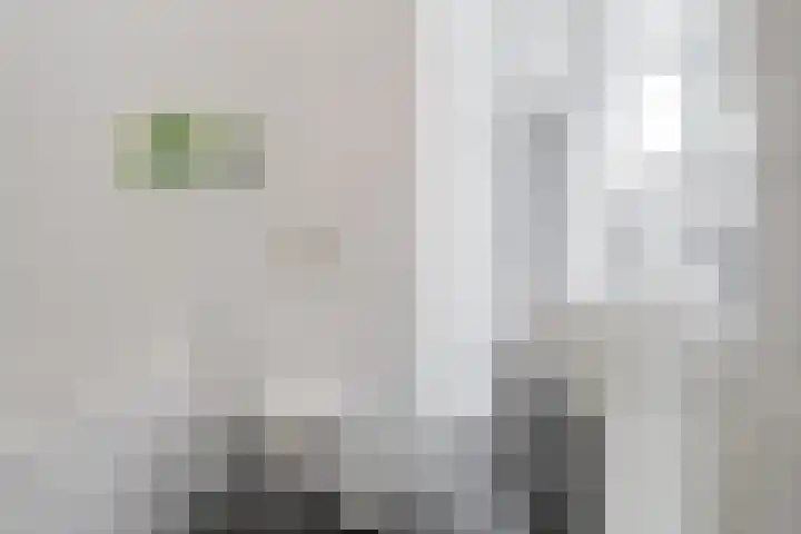Eendenveld 90 Emmen thumbnail 37