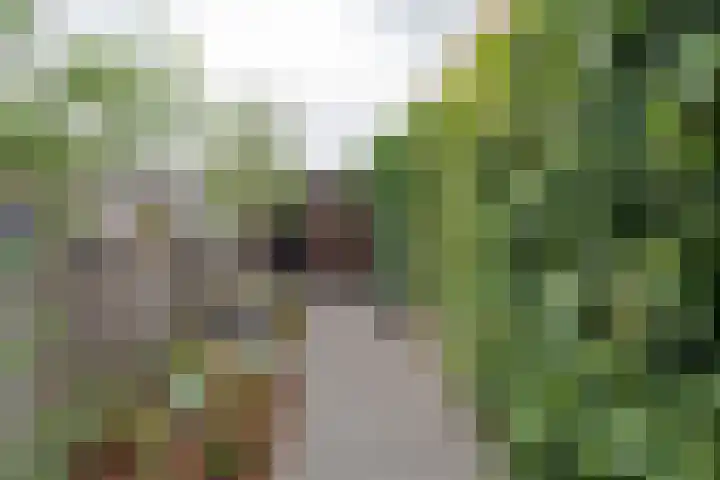 Eendenveld 90 Emmen thumbnail 4