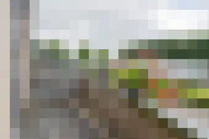 Eendenveld 90 Emmen thumbnail 51