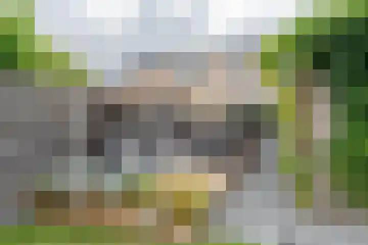 Eendenveld 90 Emmen thumbnail 56