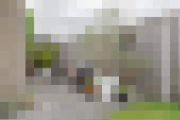 Eendenveld 90 Emmen thumbnail 61