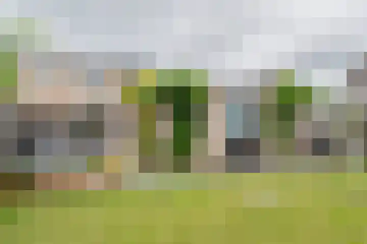 Eendenveld 90 Emmen thumbnail 63