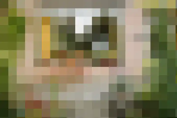 Eendrachtstraat 7 Olst thumbnail 47