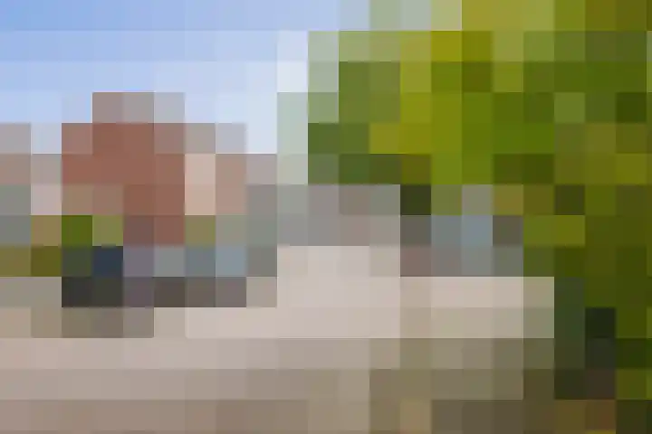 Eendrachtstraat 7 Olst thumbnail 57