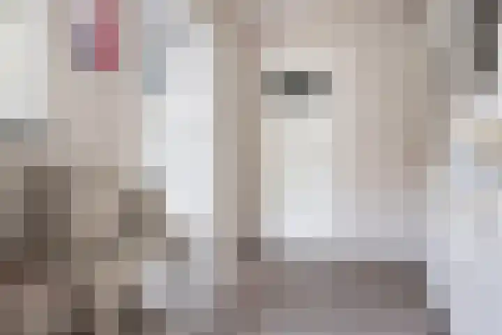 Eenheid 25 Sneek thumbnail 10
