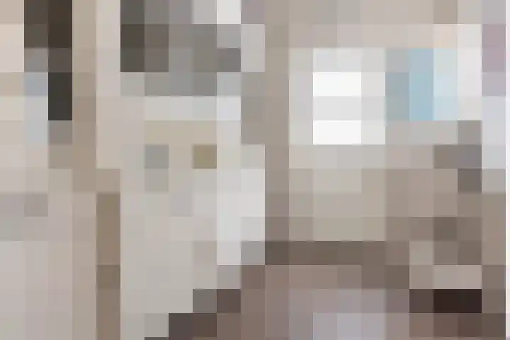 Eenheid 25 Sneek thumbnail 11