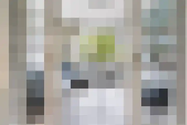 Eenheid 25 Sneek thumbnail 12