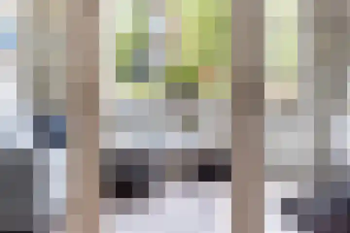 Eenheid 25 Sneek thumbnail 13