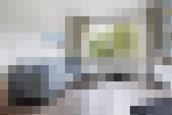 Eenheid 25 Sneek thumbnail 14