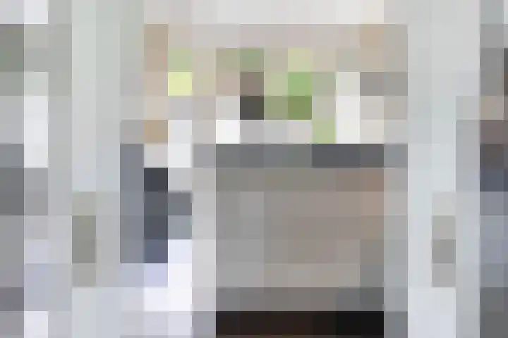 Eenheid 25 Sneek thumbnail 16