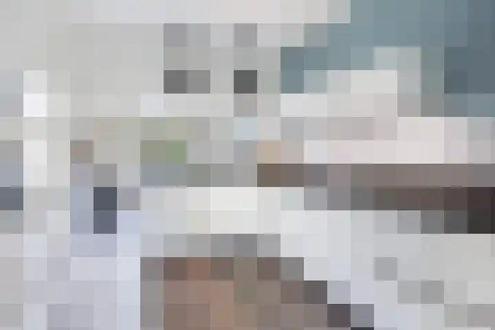 Eenheid 25 Sneek thumbnail 17