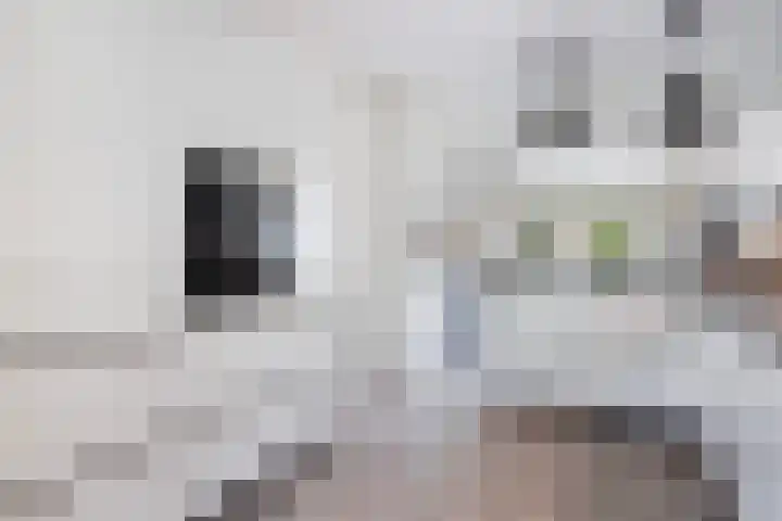 Eenheid 25 Sneek thumbnail 18