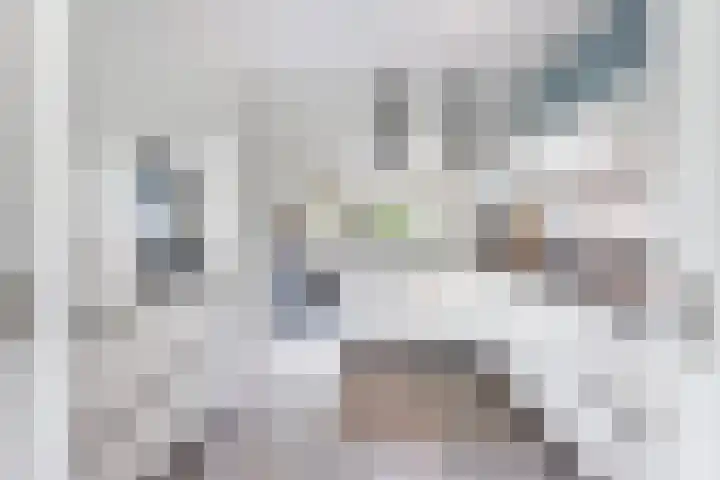Eenheid 25 Sneek thumbnail 19