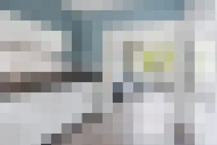 Eenheid 25 Sneek thumbnail 20