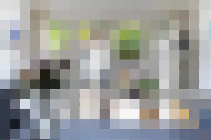 Eenheid 25 Sneek thumbnail 26