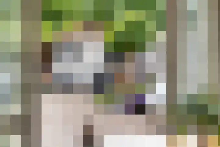 Eenheid 25 Sneek thumbnail 27