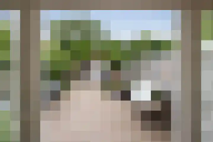 Eenheid 25 Sneek thumbnail 28