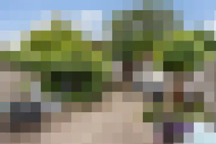 Eenheid 25 Sneek thumbnail 29
