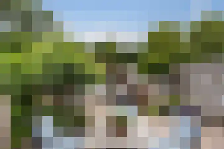 Eenheid 25 Sneek thumbnail 30