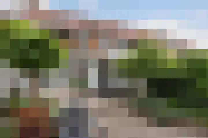 Eenheid 25 Sneek thumbnail 31