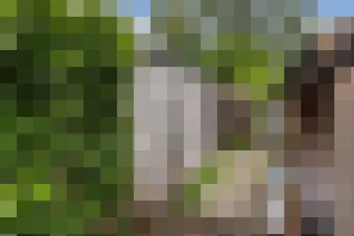 Eenheid 25 Sneek thumbnail 34
