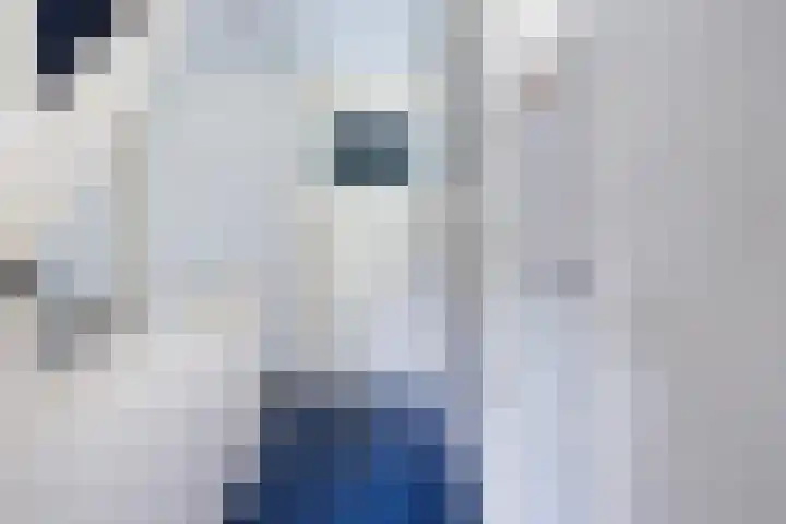 Eenheid 25 Sneek thumbnail 37