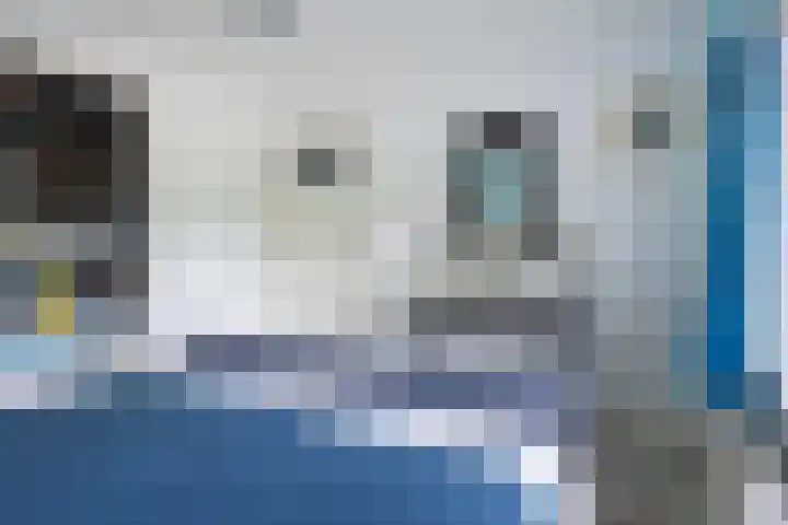 Eenheid 25 Sneek thumbnail 39