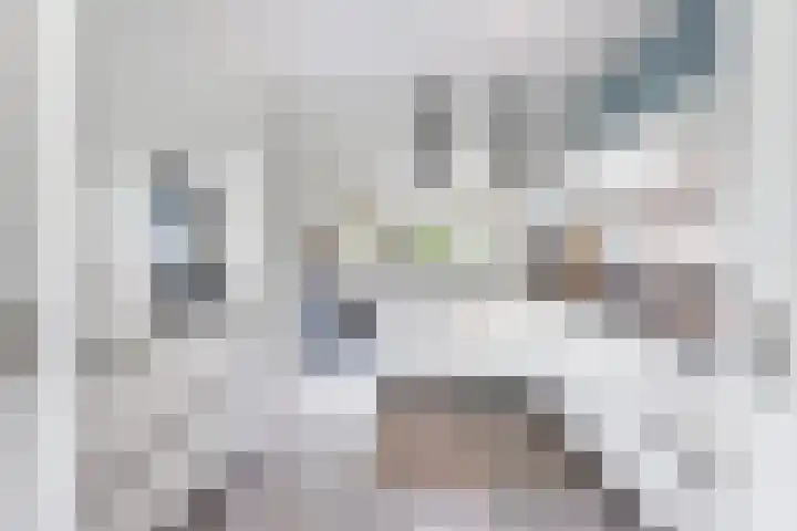 Eenheid 25 Sneek thumbnail 4