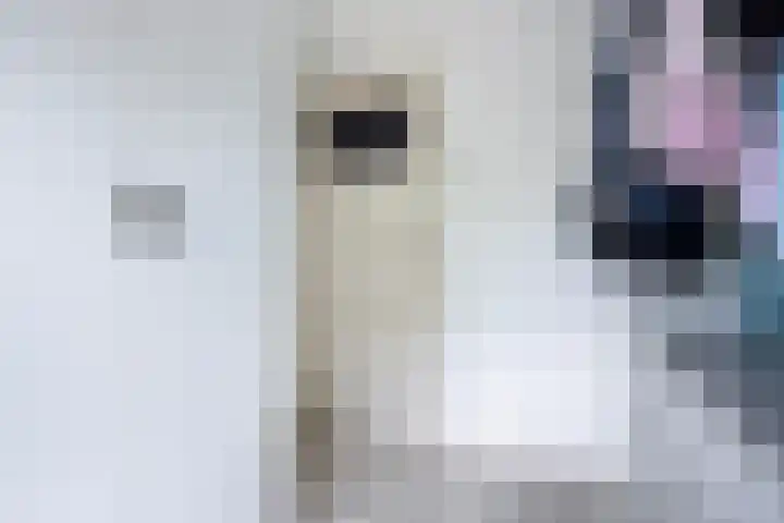 Eenheid 25 Sneek thumbnail 41