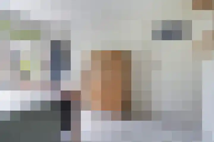 Eenheid 25 Sneek thumbnail 43
