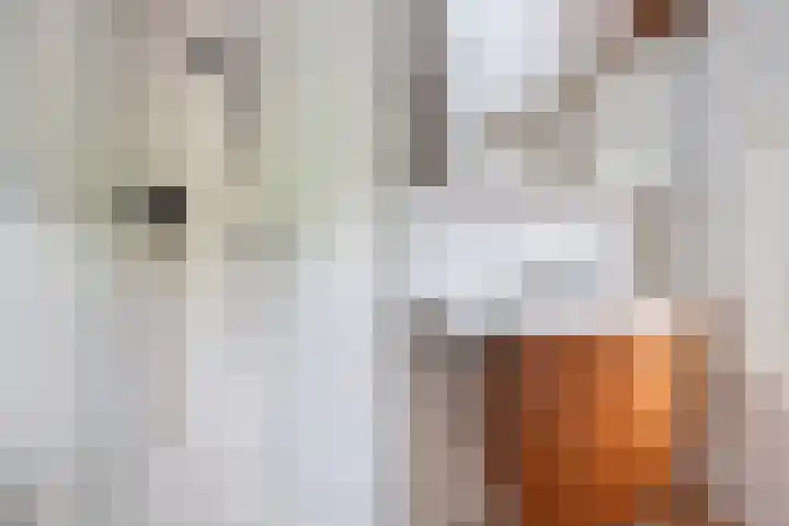 Eenheid 25 Sneek thumbnail 45