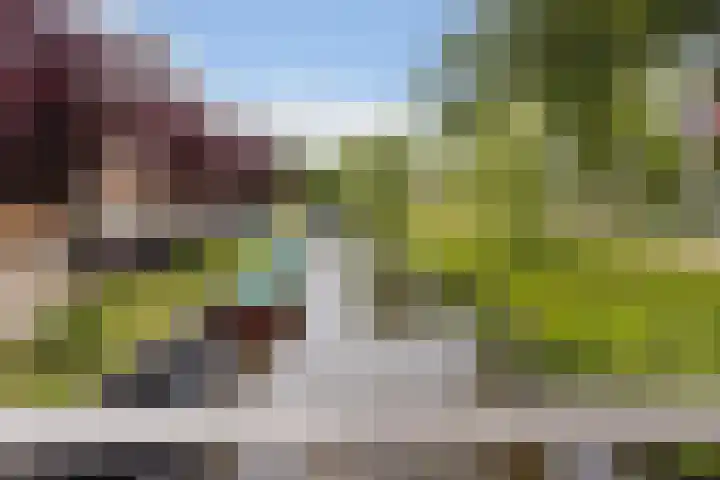 Eenheid 25 Sneek thumbnail 48