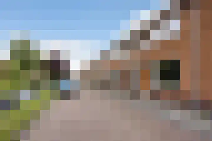 Eenheid 25 Sneek thumbnail 52