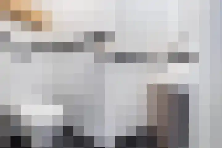 Eenheid 25 Sneek thumbnail 8