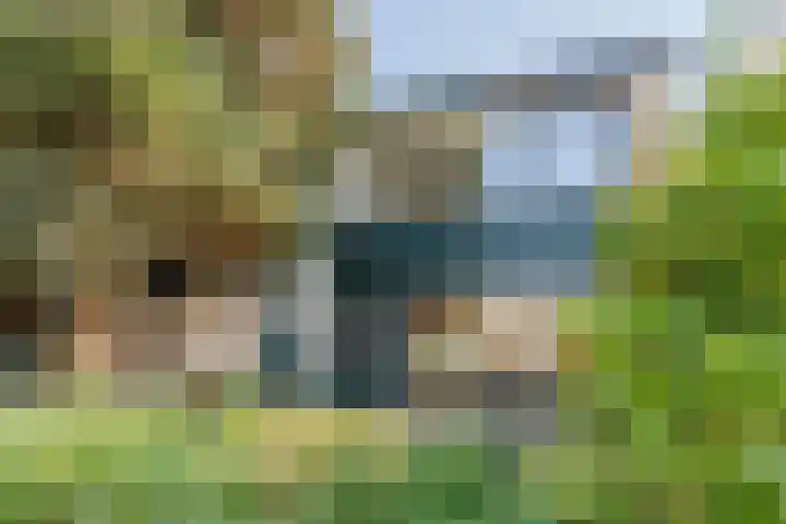 Eenlandsweg 86 in Halsteren