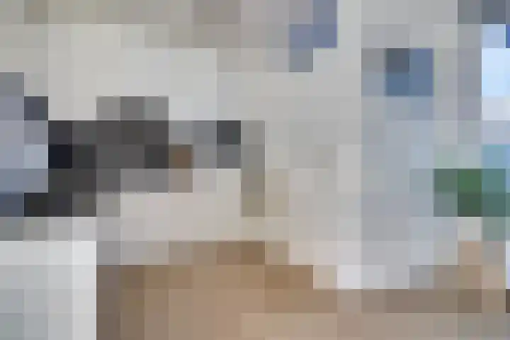 Eenoogje 6 Eindhoven thumbnail 11