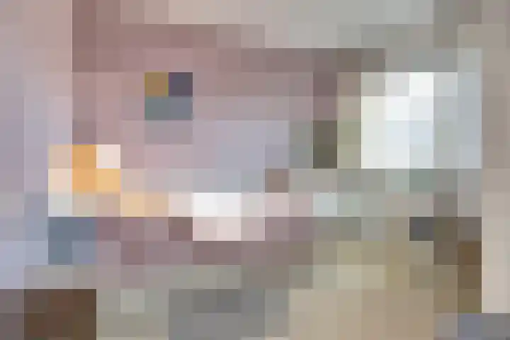 Eenoogje 6 Eindhoven thumbnail 15