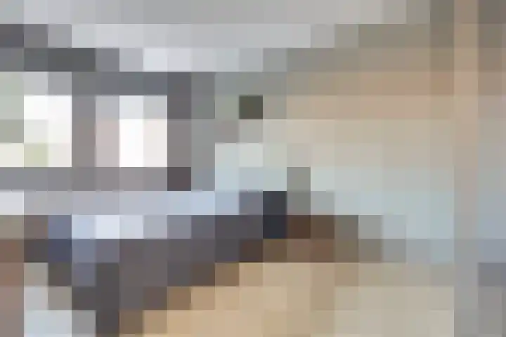 Eenoogje 6 Eindhoven thumbnail 16