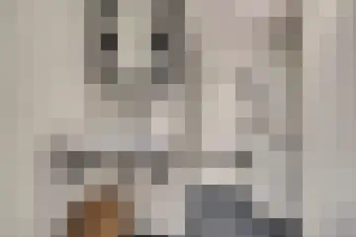 Eenoogje 6 Eindhoven thumbnail 23