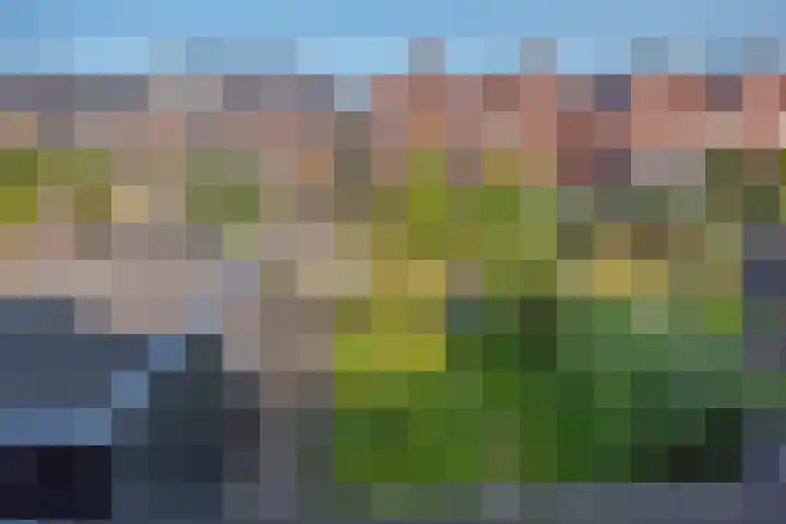 Eenruiter 22 Delft thumbnail 32